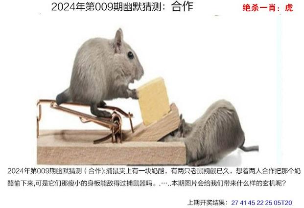 2022年澳门开奖结果和考生可能想骂我与考前被骂能考好吗