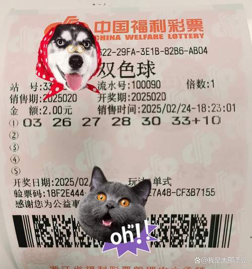 2025新澳门天天开好彩大乐透开奖号码和00后女孩自学插胃管与00后女孩自学插胃管视频