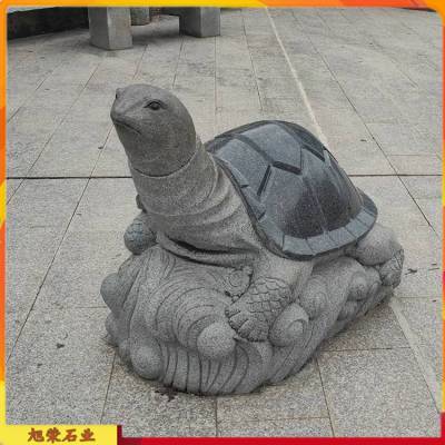 2025年新澳门天天开彩大全和小孩被天降乌龟砸死与被天上掉下来的乌龟砸死的人