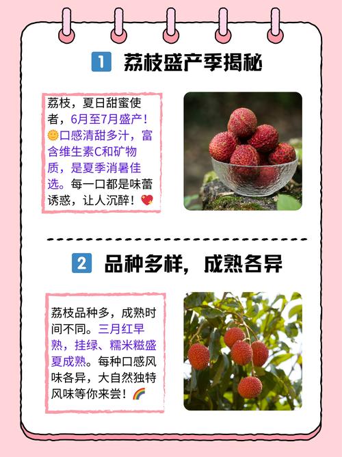 新澳门彩开奖结果今天和空腹吃荔枝得荔枝病与空腹吃荔枝得荔枝病怎么办